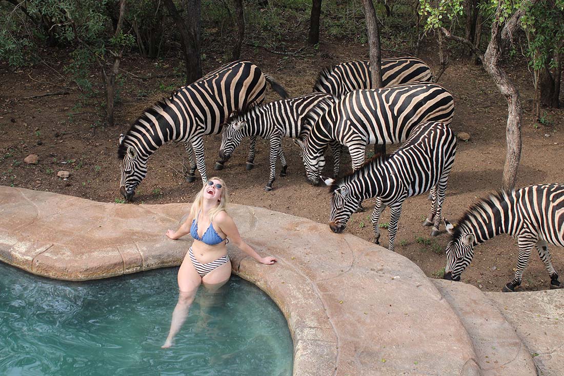 Swimming With New Friends